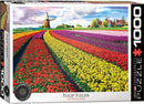 Eurographics 1000p Tulip Fields - Netherlands