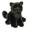 Douglas - Salem the Black Cat