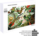 Puzzle Piatnik 1000 Pièces  Haeckel Hummingbirds