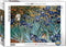 Eurographics 1000P Irises par Vincent Van Gogh