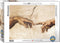 Eurographics 1000P Création d'Adam par Michelangelo
