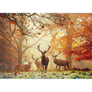 Puzzle 1000p Heye Magic Forest Stags