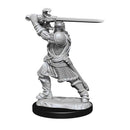 D&D Nolzurs Marvelous Unpainted Miniatures: Humain Paladin Homme